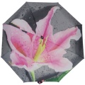 Traveling Umbrella Auto Flower Design 3 Folding Umbrella