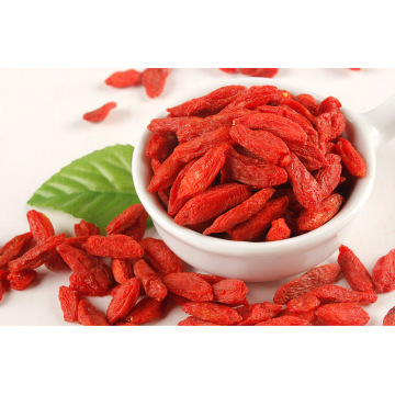 Níspero secado Ningxia Rojo orgánico Wolf Berry