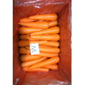 Red Color Fresh Beautiful Carrots