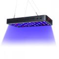 165w Aquarium Light Coral Reef Each Day 2022