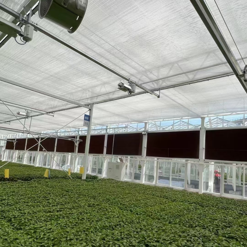 Arched PC Greenhouse Arched PC Greenhouse