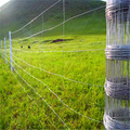 clôture commune de ferme de clôture