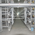 Poultry Use Hot Galvanization H Type Layer Cage