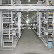 H Type Chicken Cage for Layer and Broiler