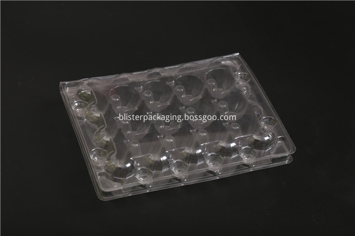 Plastic Quail Egg Trays for Sale