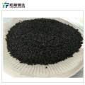 Developed Micro-pore Structure Activated Carbon