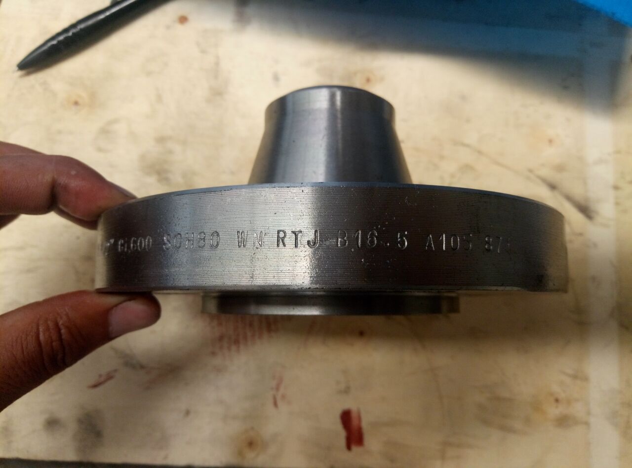 CL300 FFWN Flange