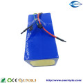 24V 50ah Lithium Battery for EV UPS Energy Storage