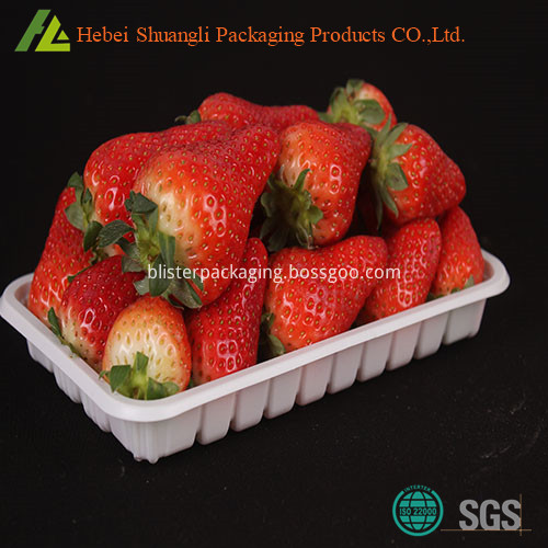 plastic fruit tray 