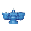 CFIC Combined Water Utility Air Valve