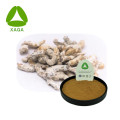 Animal Extract Stiff Silkworm Extract Powder