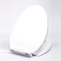 Slow Close Elongated Toilet Seat Cover for Bathroom