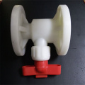 Rayhot PTFE Globe Valves