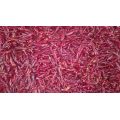 Chaotian Chili 4-7cm 10kg