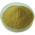 Green Coffee Bean Plant Extract in Chlorogenic Acid