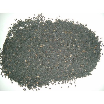 Black Sesame Seed Extract Sesamin Powder