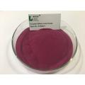 Factory Supply bilberry fruit powder