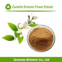 Hot Sales Camellia Sinensis Flower Extract Powder 10:1