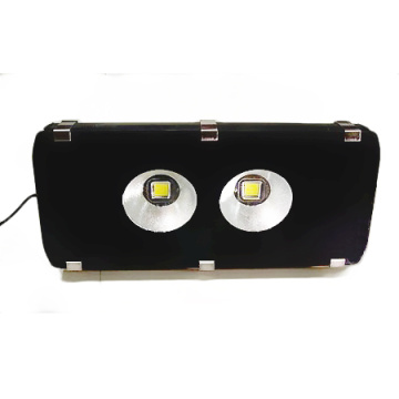 ES-120W Professional Flood Luminaires