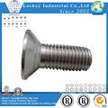 Stainless Steel Hex Socket Flat Head Cap Screw DIN7991