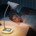 LED Battery Operated Night Light