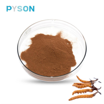 Natural Cordyceps Militaris Extract Body Extract Powder