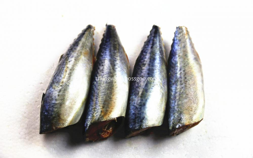 Best Sea Frozen Mackerel HGGT