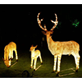 Outdoor FRP Garden Deer Lights