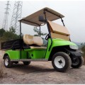 CE 2 seats electric golf car club car