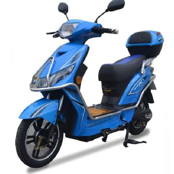 Electric Scooter EEC