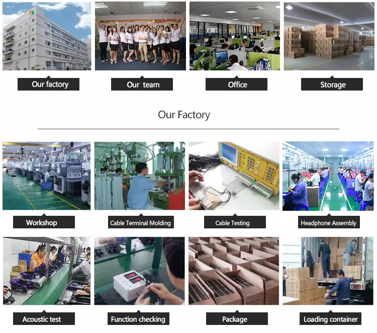Company Information 1 Company Information 1
