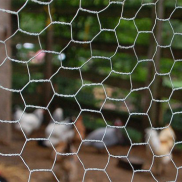 Hexagonal Netting Chicken Wire Fencing