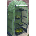 Serre de plain-pied Polytunnel Mini Tunnels