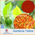 Gardenia Yellow Powder Couleur Valeur 300/400/500