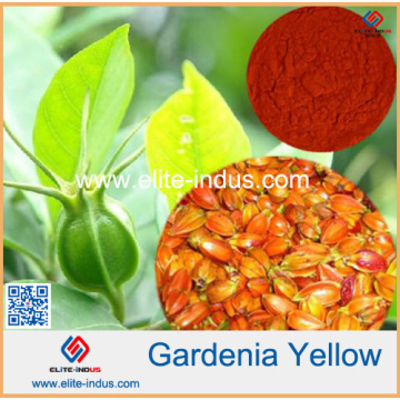 Gardenia Yellow Powder Color Valor 300/400/500