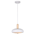 Lustre Moderne Home Decoration Living Room Pendant Lamp