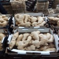 Top Quality Fresh Ginger