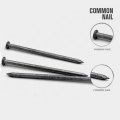 New Design Factory Price of Q195 Common Nail