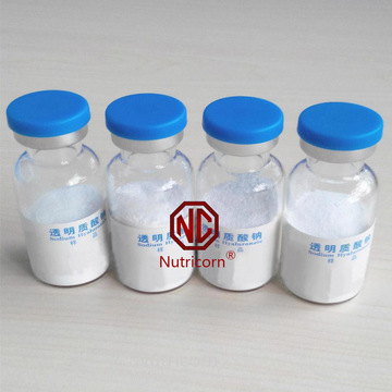 Food Grade Hyaluronic Acid Sodium Hyaluronate