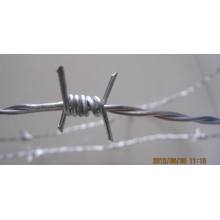 Galvanized Barbed Wire for Fencing