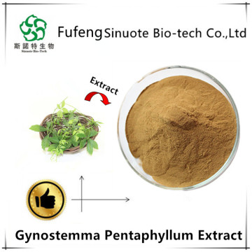 Gynostemma -Pentaphyllum -Extrakt 98%Gypenoside