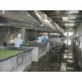 Factory producing AD green garden peas