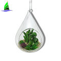 Hanging Clear Glass Succulent Flowerpot Container