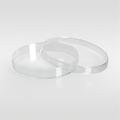 Plastic Petri Dish With Vent 90mm x 15mm