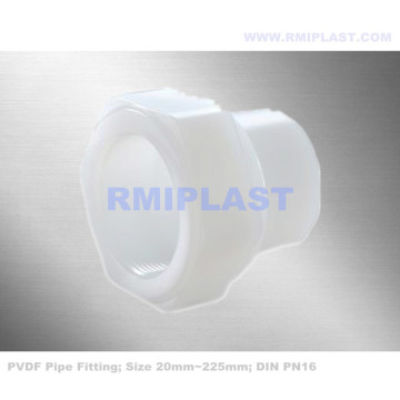 PVDF Female Coupling PN16