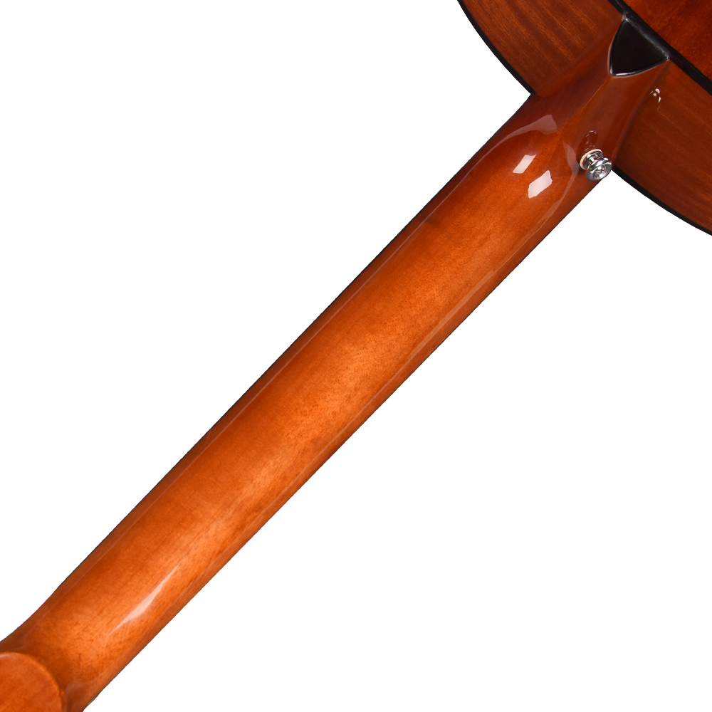 Ts66 Semi Guitar Acoustic Ts66 Semi Guitar Acoustic
