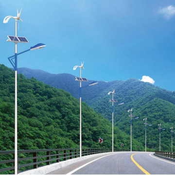 Großhandel 30W Wind Solar Hybrid LED Straßenlaterne