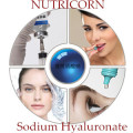 Kosmetik, Lebensmittel, Medizin Grade Natrium Hyaluronat