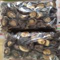 Quality Dehydrated Shiitake Mushrooms