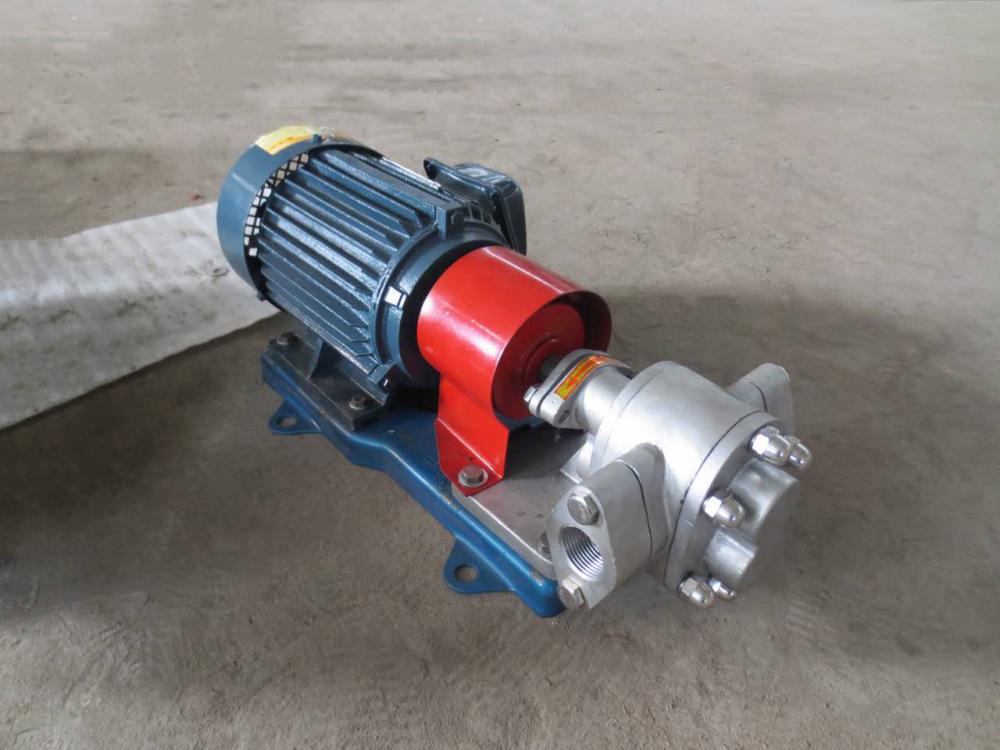 Food Oil Pump